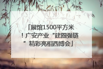 展馆1500平方米！广安产业“建圈强链”精彩亮相西博会