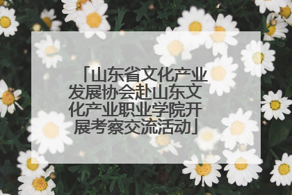 山东省文化产业发展协会赴山东文化产业职业学院开展考察交流活动