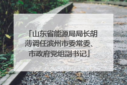 山东省能源局局长胡薄调任滨州市委常委、市政府党组副书记