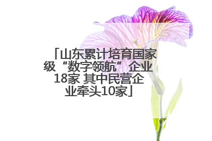 山东累计培育国家级“数字领航”企业18家 其中民营企业牵头10家