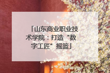 山东商业职业技术学院：打造“数字工匠”摇篮