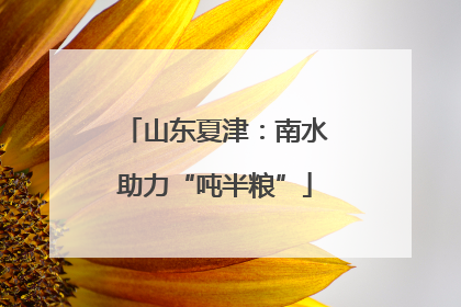 山东夏津：南水助力“吨半粮”