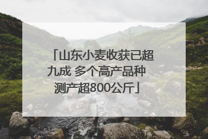 山东小麦收获已超九成 多个高产品种测产超800公斤