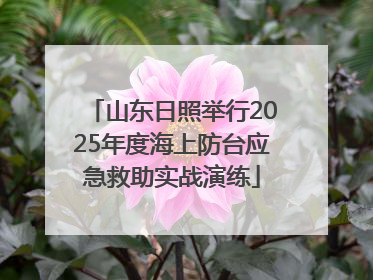 山东日照举行2025年度海上防台应急救助实战演练