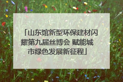 山东馆新型环保建材闪耀第九届丝博会 赋能城市绿色发展新征程