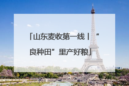 山东麦收第一线丨“良种田”里产好粮