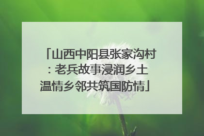 山西中阳县张家沟村：老兵故事浸润乡土 温情乡邻共筑国防情