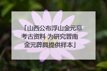 山西公布浮山金元墓考古资料 为研究晋南金元葬具提供样本