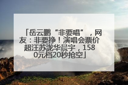 岳云鹏“非要唱”，网友：非要挣！演唱会票价超汪苏泷华晨宇，1580元档20秒抢空