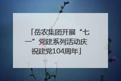岳农集团开展“七一”党建系列活动庆祝建党104周年