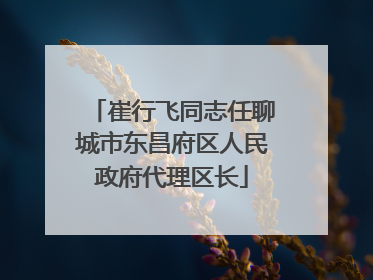崔行飞同志任聊城市东昌府区人民政府代理区长
