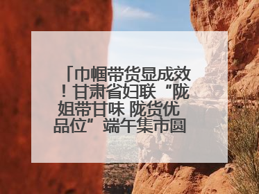 巾帼带货显成效！甘肃省妇联“陇姐带甘味 陇货优品位”端午集市圆满收官