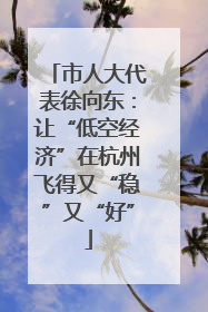 市人大代表徐向东：让“低空经济”在杭州飞得又“稳”又“好”