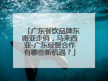 广东餐饮品牌东南亚走俏，马来西亚-广东经贸合作有哪些新机遇？