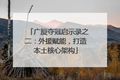 广厦夺冠启示录之二：外援赋能，打造本土核心架构