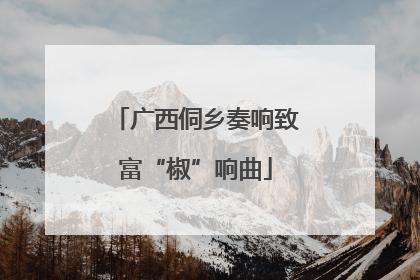 广西侗乡奏响致富“椒”响曲