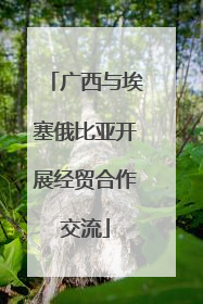 广西与埃塞俄比亚开展经贸合作交流