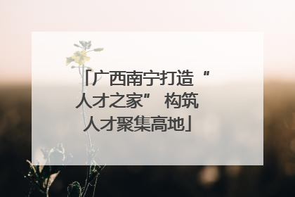 广西南宁打造“人才之家” 构筑人才聚集高地