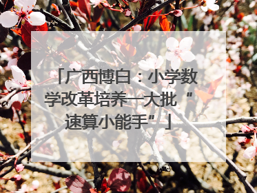 广西博白：小学数学改革培养一大批“速算小能手”
