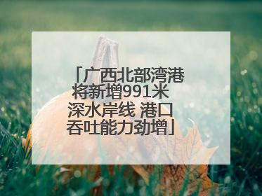 广西北部湾港将新增991米深水岸线 港口吞吐能力劲增