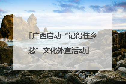 广西启动“记得住乡愁”文化外宣活动
