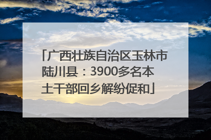 广西壮族自治区玉林市陆川县：3900多名本土干部回乡解纷促和