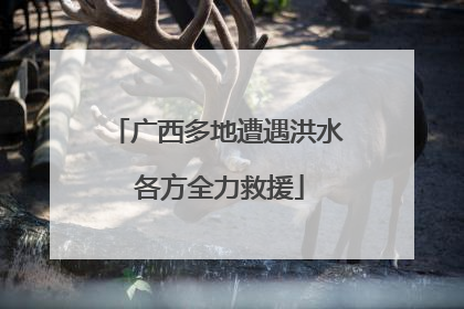 广西多地遭遇洪水 各方全力救援