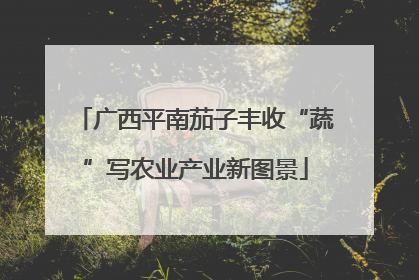 广西平南茄子丰收“蔬”写农业产业新图景