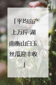 平均亩产上万斤 湖南衡山白玉丝瓜迎丰收