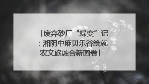 废弃砂厂“蝶变”记：湘阴中麻贝乐谷绘就农文旅融合新画卷