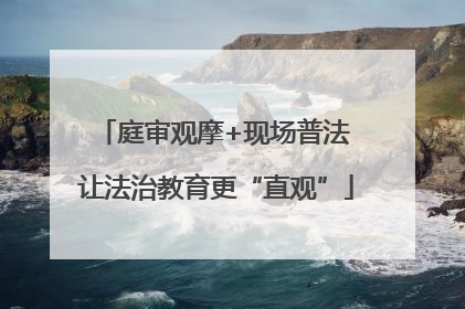 庭审观摩+现场普法 让法治教育更“直观”
