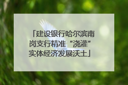 建设银行哈尔滨南岗支行精准“浇灌”实体经济发展沃土