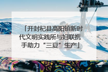 开封杞县高阳镇新时代文明实践所与妇联携手助力“三夏”生产