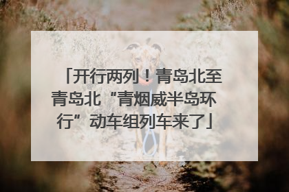 开行两列！青岛北至青岛北“青烟威半岛环行”动车组列车来了