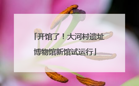 开馆了！大河村遗址博物馆新馆试运行