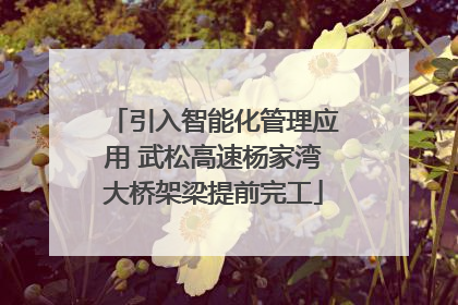 引入智能化管理应用 武松高速杨家湾大桥架梁提前完工
