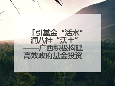 引基金“活水” 润八桂“沃土”——广西积极构建高效政府基金投资运作机制