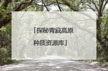探秘青藏高原种质资源库