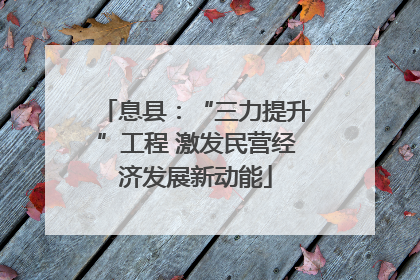 息县：“三力提升”工程 激发民营经济发展新动能