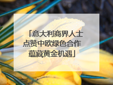 意大利商界人士点赞中欧绿色合作蕴藏黄金机遇