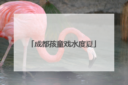 成都孩童戏水度夏