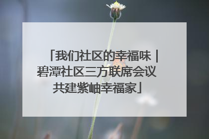我们社区的幸福味｜碧潭社区三方联席会议共建紫岫幸福家