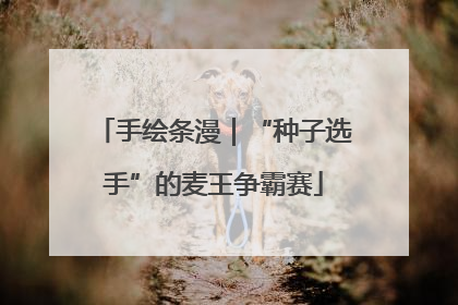 手绘条漫｜“种子选手”的麦王争霸赛
