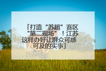打造“苏超”赛区“第二现场”！江苏这样办好让群众可感可及的实事