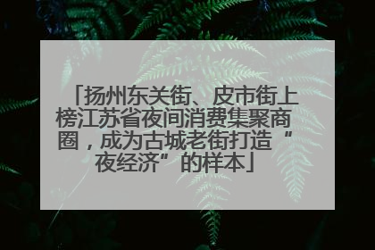 扬州东关街、皮市街上榜江苏省夜间消费集聚商圈，成为古城老街打造“夜经济”的样本