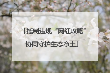 抵制违规“网红攻略” 协同守护生态净土