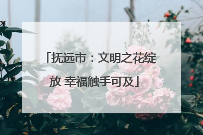 抚远市：文明之花绽放 幸福触手可及