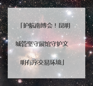 护航南博会！昆明城管坚守展馆守护文明有序交易环境