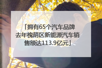 拥有65个汽车品牌 去年槐荫区新能源汽车销售额达113.9亿元