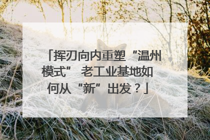 挥刃向内重塑“温州模式” 老工业基地如何从“新”出发？